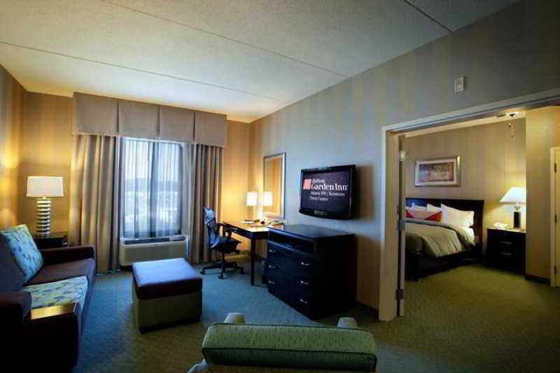 Hilton Garden Inn Atlanta Nw/Kennesaw-Town Center Rum bild
